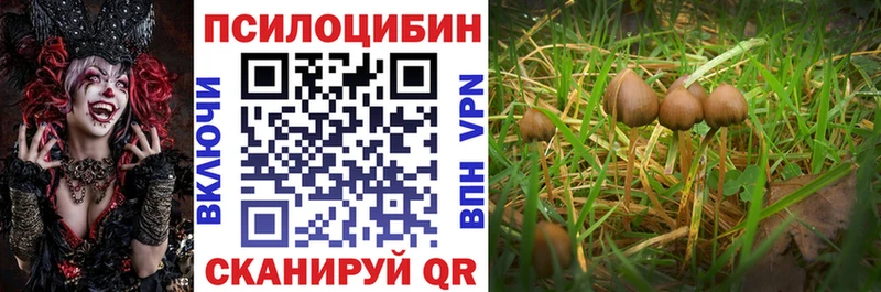 Галлюциногенные грибы ЛСД  Долгопрудный 