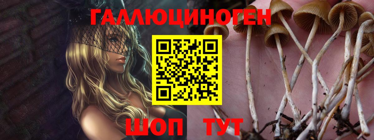 Долгопрудный  что такое   Галлюциногенные грибы ЛСД  Вход с VPN  Псилоцибиновые грибы MAGIC MUSHROOMS 