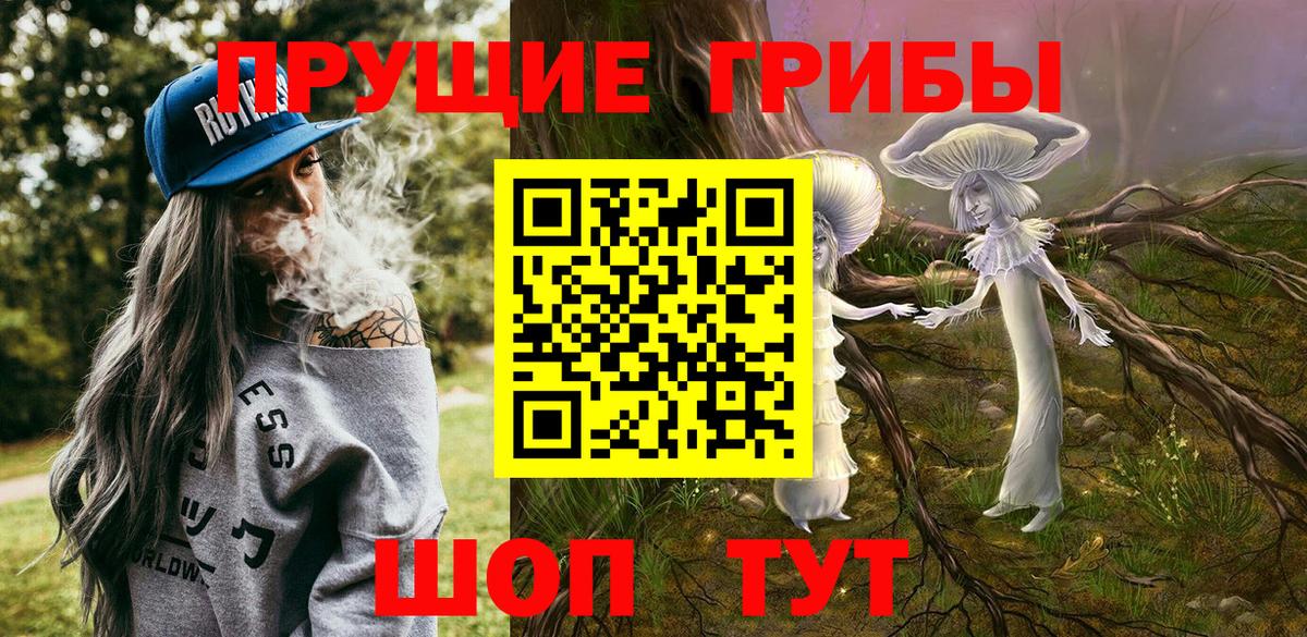 Галлюциногенные грибы мицелий Долгопрудный