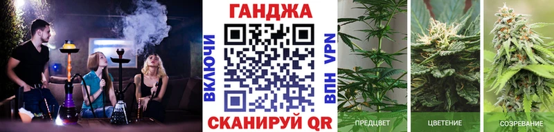 Бошки марихуана семена  Долгопрудный 